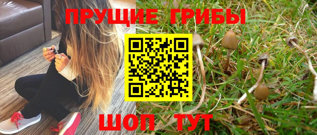 Галлюциногенные грибы MAGIC MUSHROOMS  Вход с VPN  Джанкой 